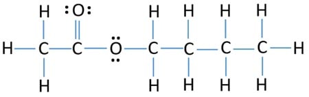 butyl ethanoate lewis structure